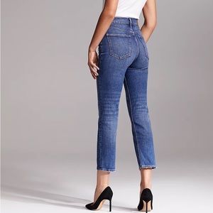 Aritzia Denim Forum The Arlo High Rise Straigh ankle Jean
